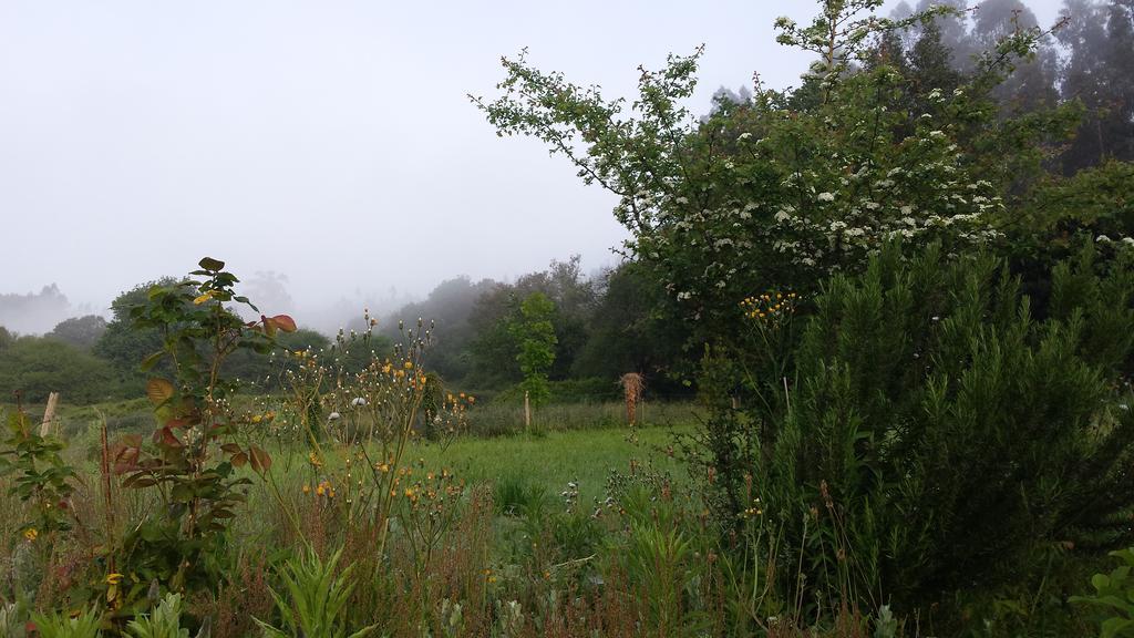 Posada Camino Del Norte Güemes Zewnętrze zdjęcie